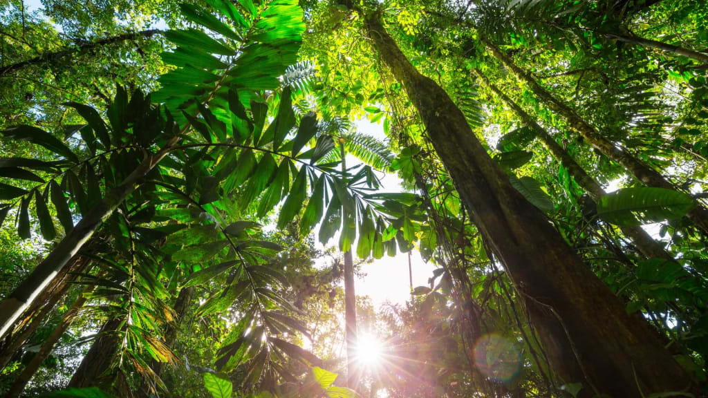 Tropical Liberia